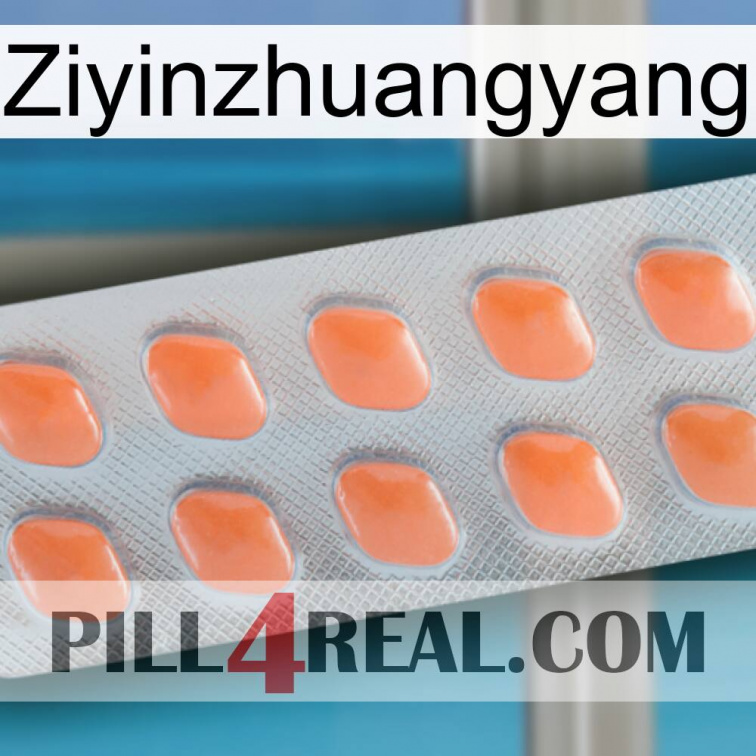 Ziyinzhuangyang 26